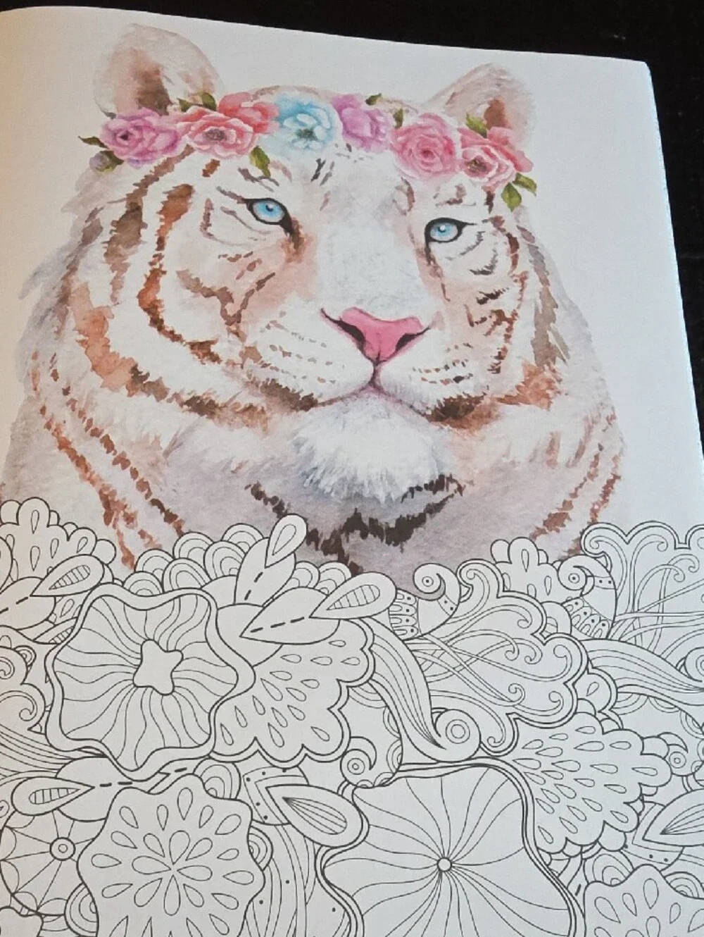 The Illustrated Coloring Book - Floral Skunk (Blue) by